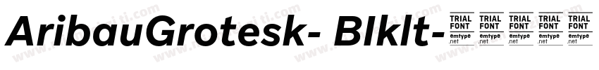 AribauGrotesk- BIklt字体转换